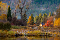 Fall Color