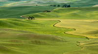 Palouse