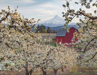 Hood River Oregon
