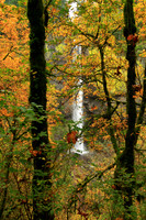 Waterfalls